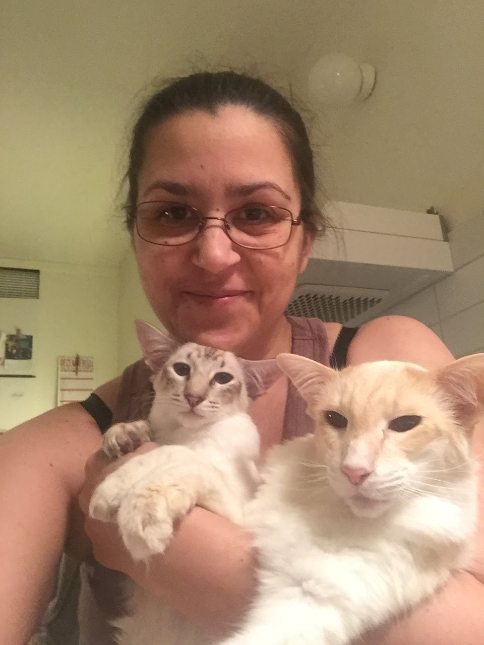 Katterna och jag i januari 2018