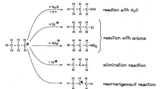 POSSIBLE REACTION OF THE FORMED CARBOCATION 