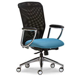 SitWell Ovation Chair SitWell Ovation Chair