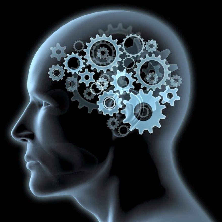 Lis Bukuroca Kush jam unë?