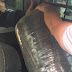 Polícia Rodoviária Federal prende motorista com 120 Kg de maconha na Paraíba