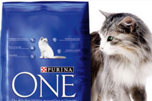 Purina One Coupon Blog Purina One Coupon Blog