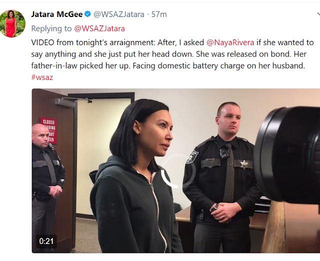 Actress Naya Rivera arrested for hitting her husband (photos)