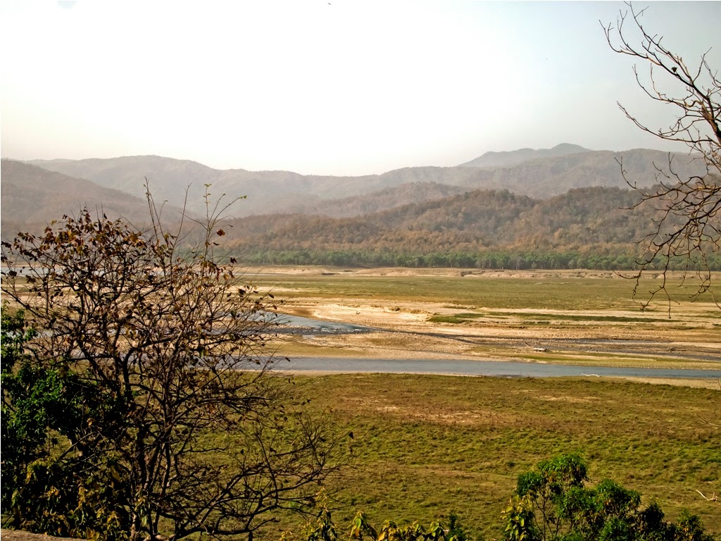 Ramganga river bank from Dhikala forest rest house