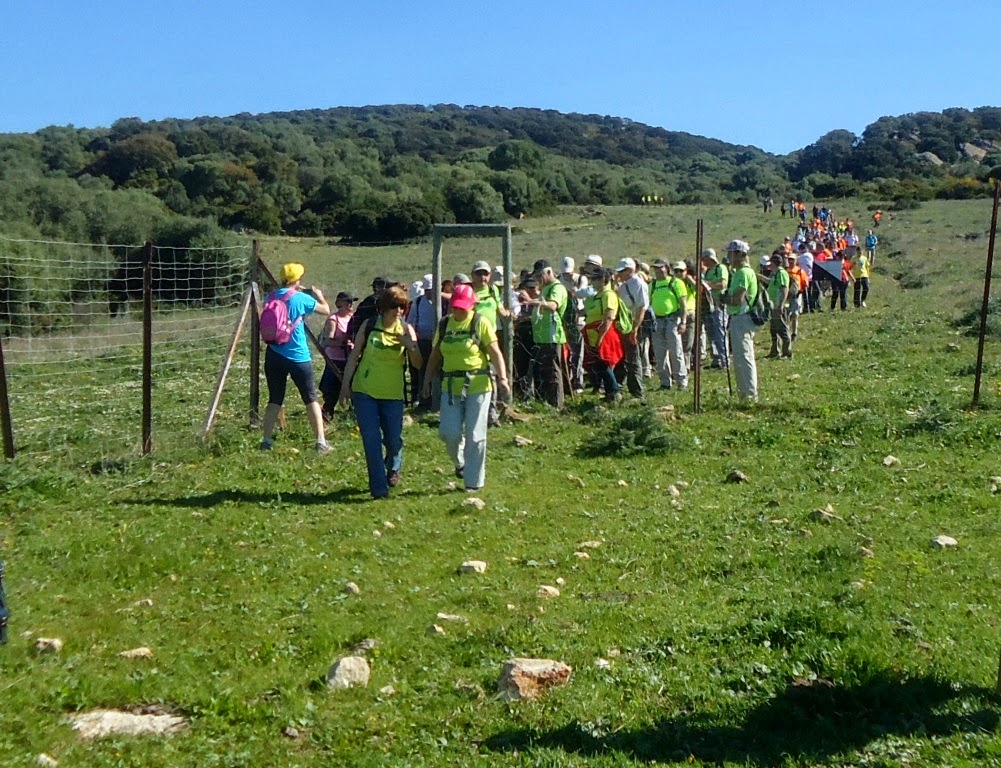 Senderismo Carlos y Petra: SENDERO FINCA LA ALCAIDESA PINAR DEL REY