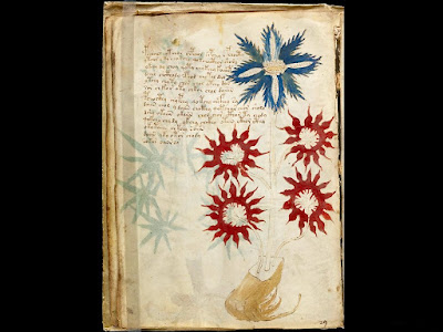 Il misterioso manoscritto Voynich Il misterioso manoscritto Voynich