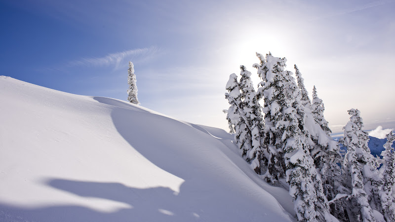 Mount Rainier covered with Snow