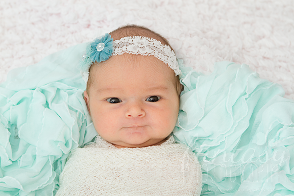 newborn photography in winston salem nc | triad newborn photographers newborn photography in winston salem nc | triad newborn photographers