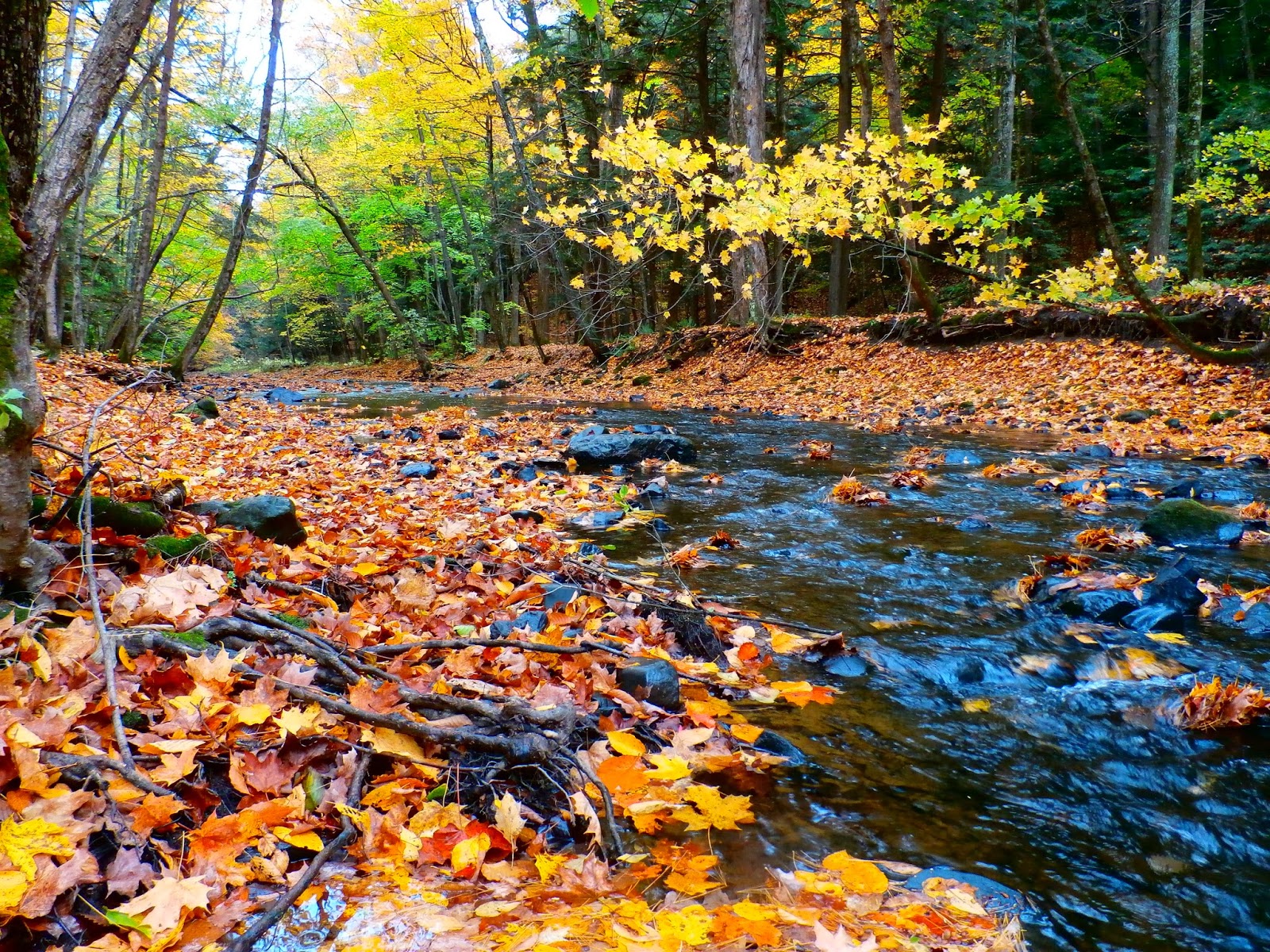 Walking Man 24 7 Fall at Schodack Town Park
