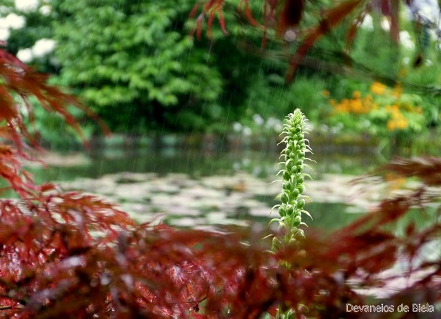 Jardins de Monet em Giverny