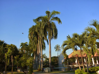 A Month in Chiang Mai: Nong Buak Hard Public Park