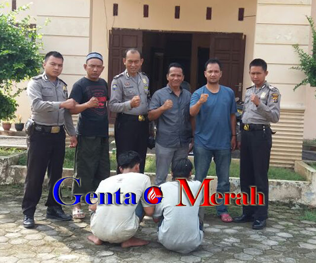 Miliki Tembakau  Gorilla Dua Warga Kedondong Ditangkap Polisi