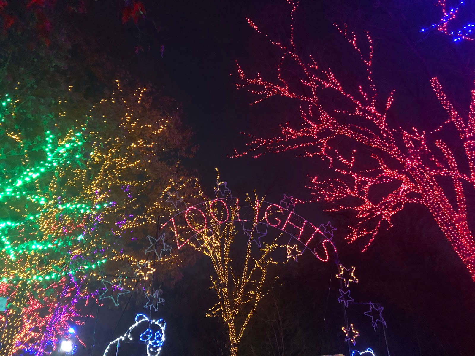 Marco Bossolo Zoo Lights in Washington DC Christmas 2018