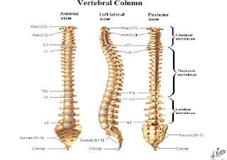 Home Care Pada Pasien Fraktur
