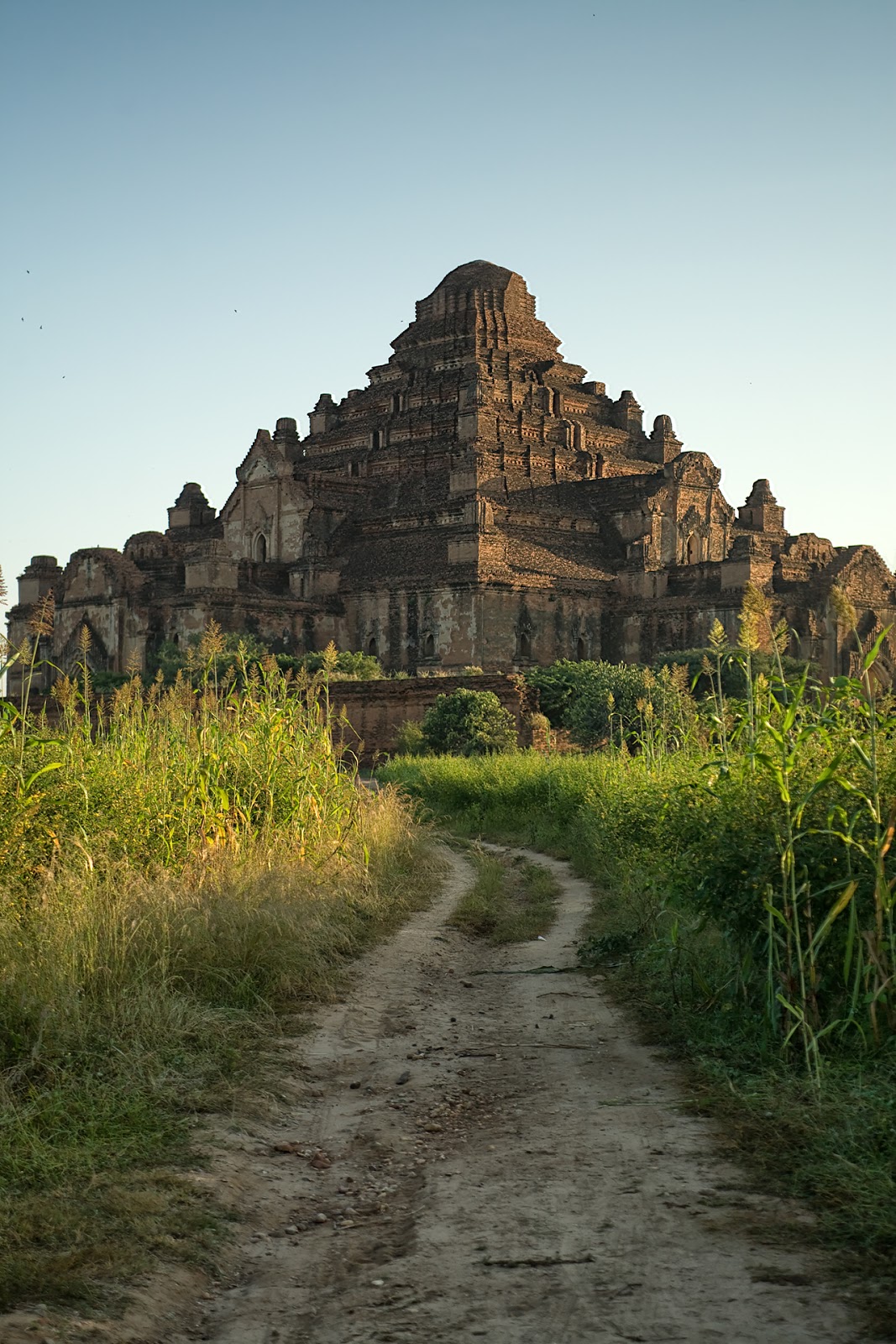 Dhammayangyi Temple Dhammayangyi Temple,pagoda,Birma,Bagan