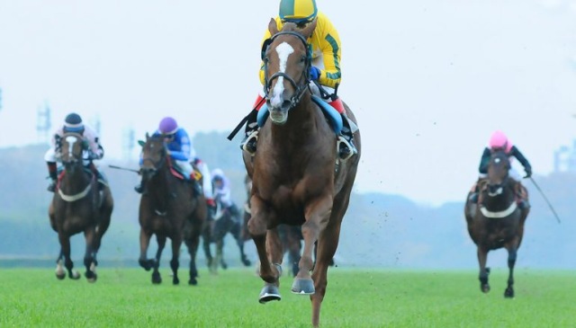 Tahanee corre hoy el Clásico Omega en San Isidro Tahanee Stormy Atlantic San Isidro