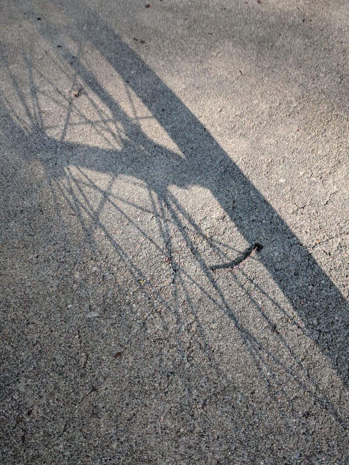 bike bicycle trek hybrid fx3 matte black shadow wheel