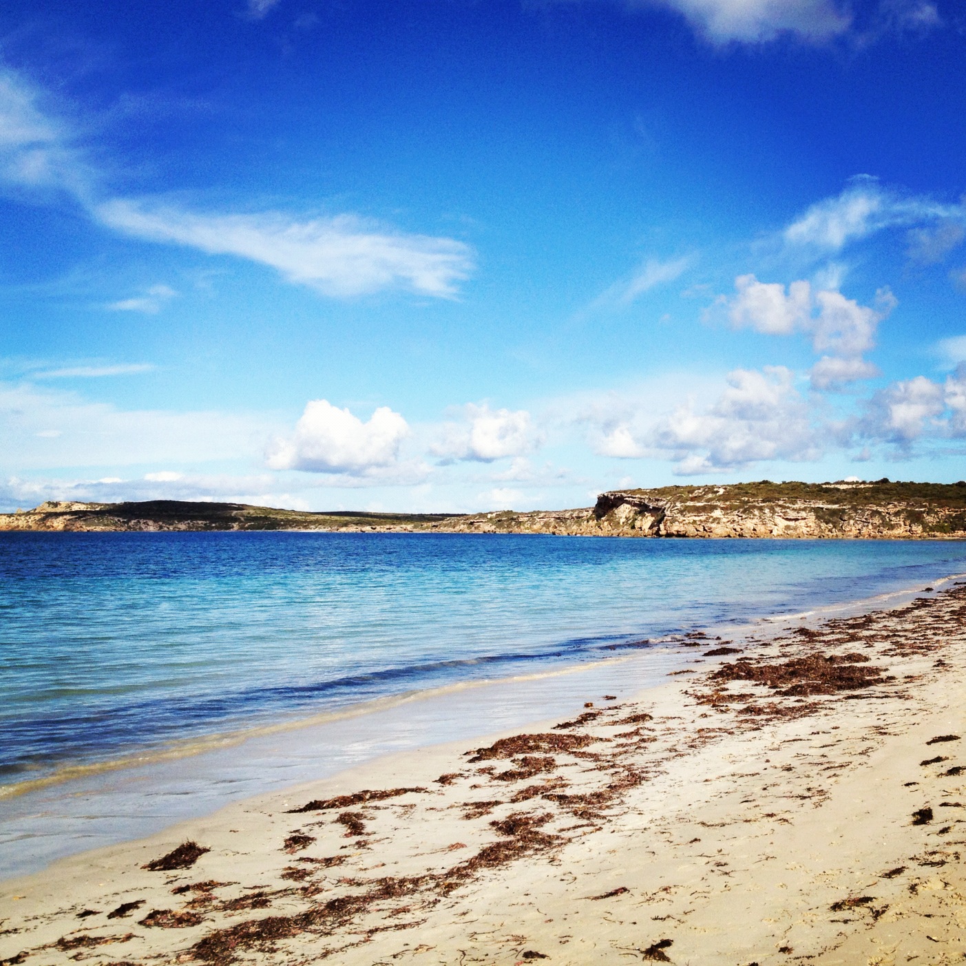 The Best Of Nature On The Yorke Peninsula iPhoneography Oz Australia iPhone Photography
