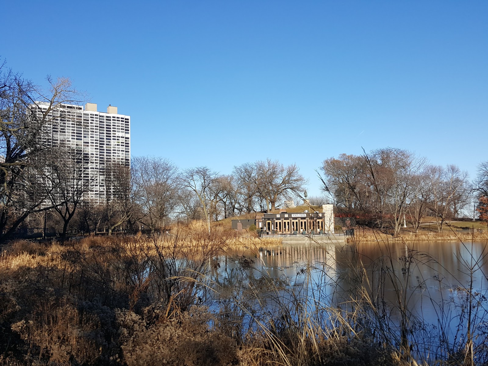 The Chicago Real Estate Local Lincoln Park highrise condo sales 2018