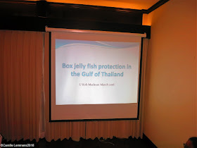 Box jelly fish awareness presentation at U Koh Madsum