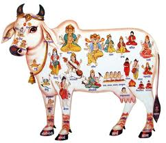 Cow Slaughter a Sin in Hindu Religion