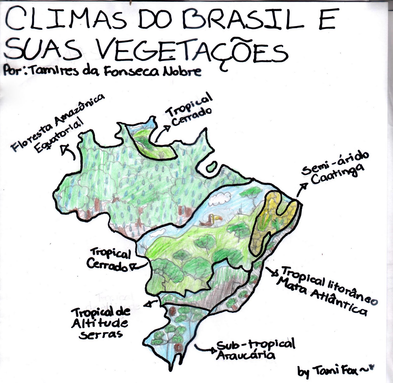 Domínios Morfoclimáticos do Brasil Entendendo o Domínios Morfoclimáticos do Brasil Entendendo o