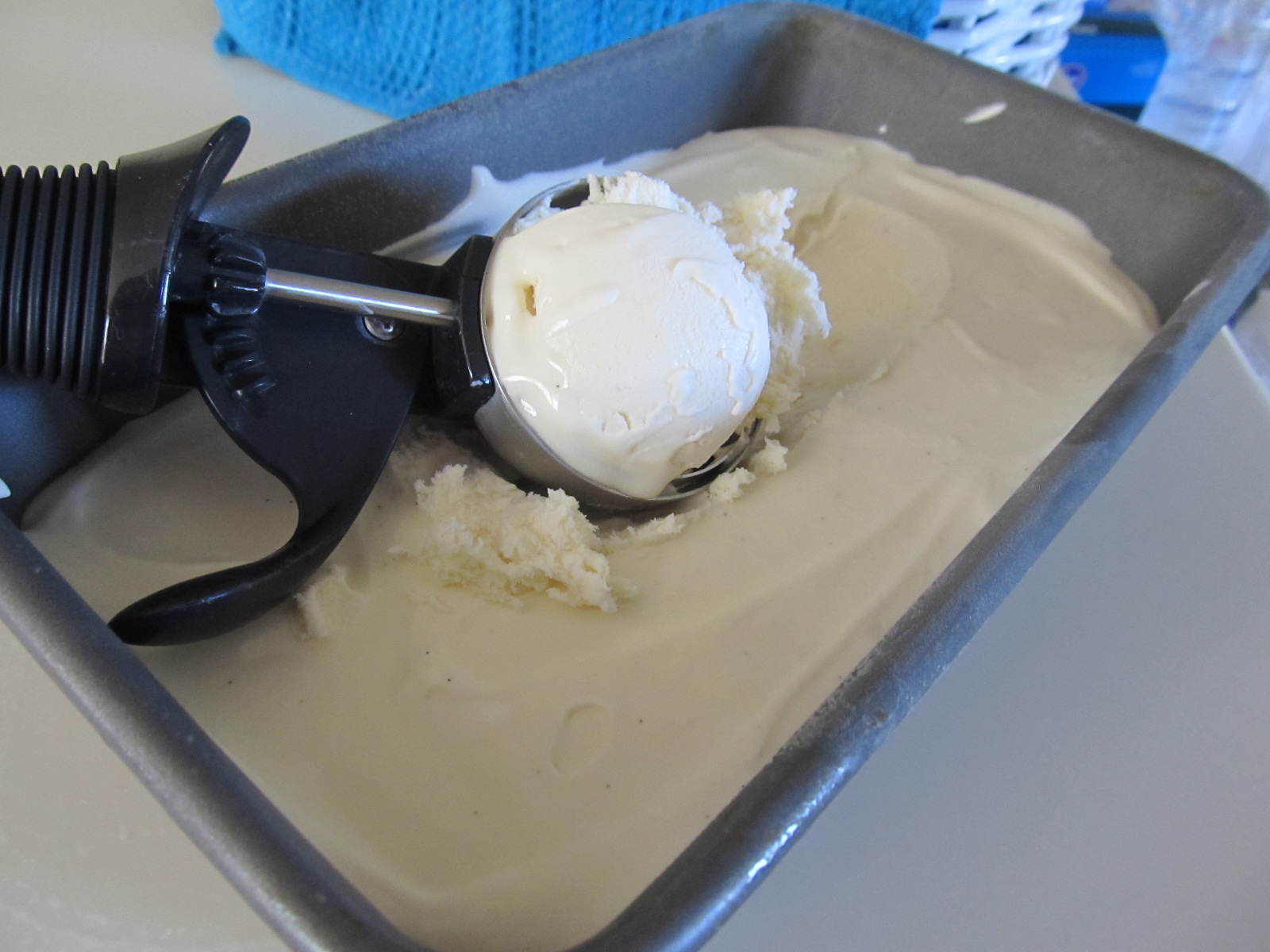 Foodie Family No Churn Ice Cream (Tastes Like Soft Serve!)