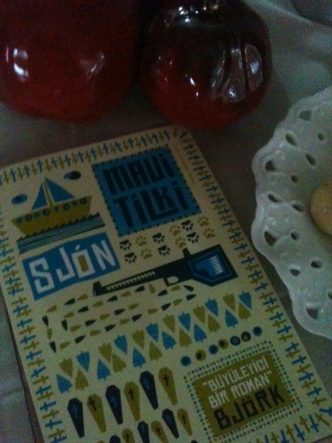 Aylin Ayaz Yılmaz: 2011 BİTMEDEN