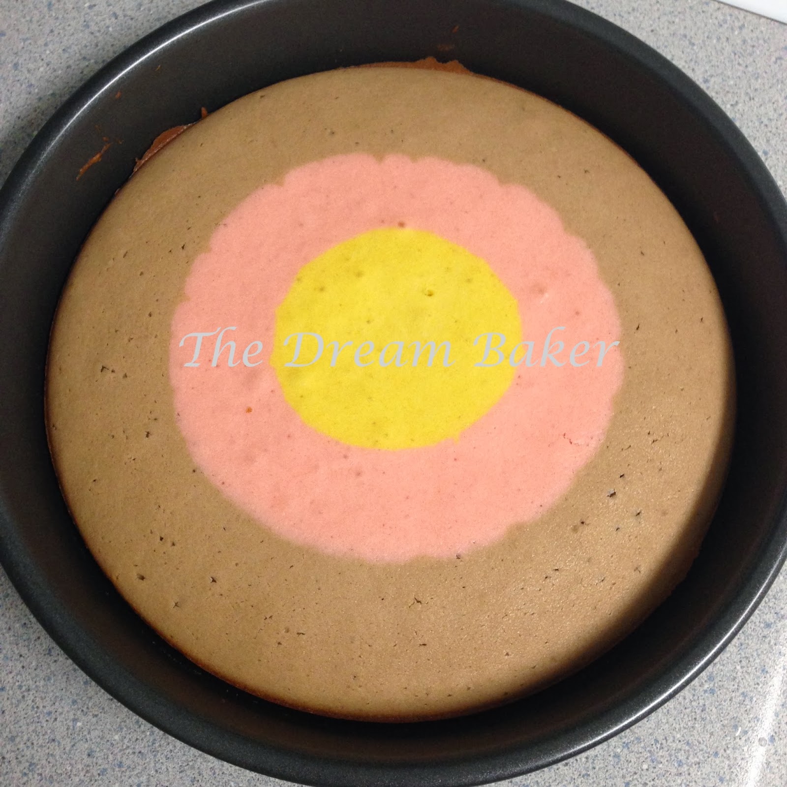 The Dream Baker...: MultiColour Checkered Cake coated with Dark ...