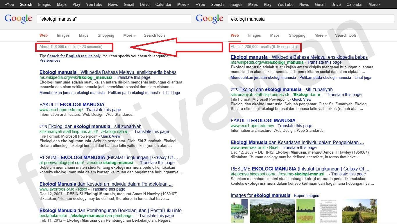 Dan can перевод. Can could перевод.