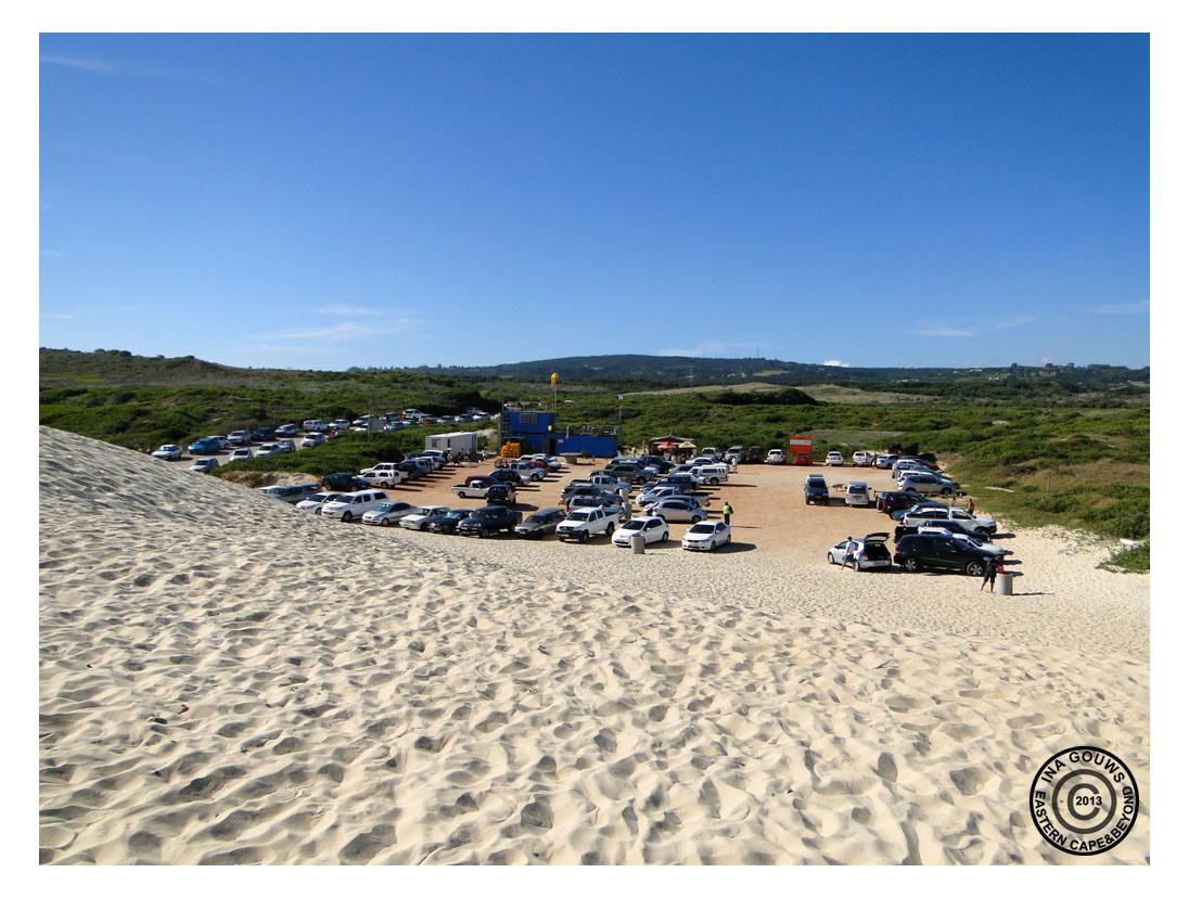 Eastern Cape & Beyond Sardinia Bay Parking Area