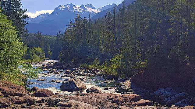 Wally Creek on Vancouver Island... Wally Creek on Vancouver Island...
