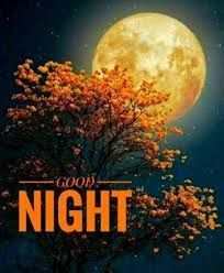 good night cute images