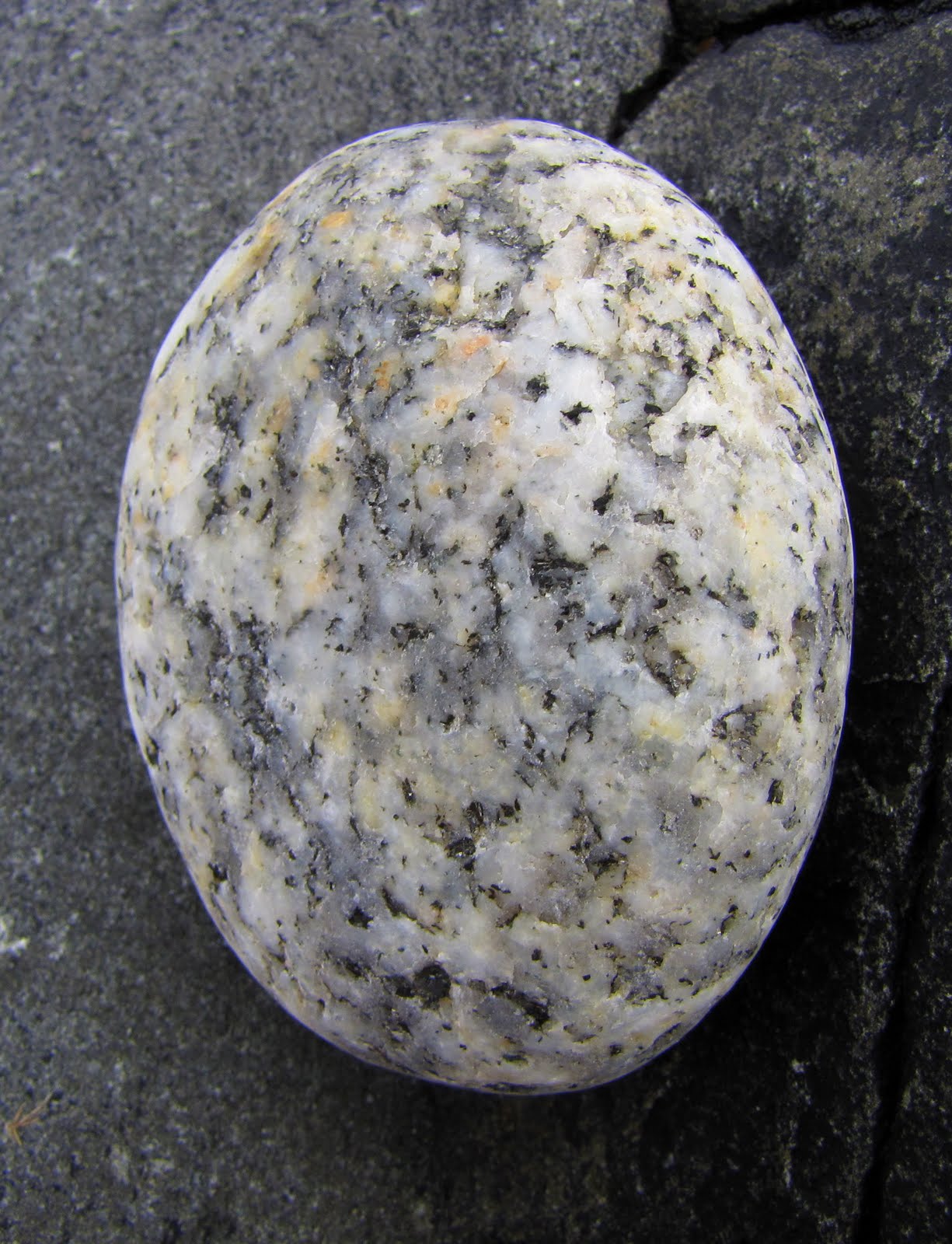 The Glebe Blog: Rocks of Garheugh-Luce Bay