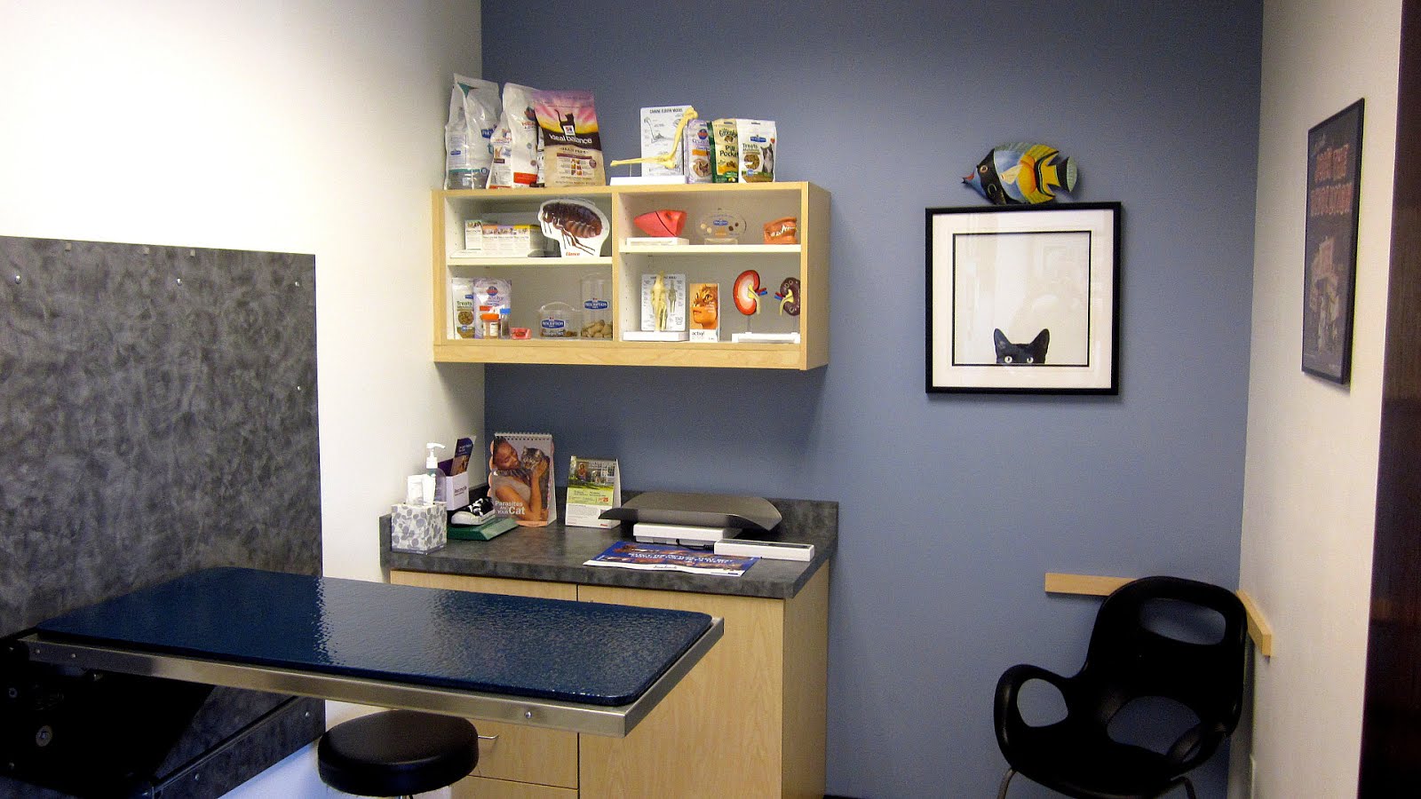 American Animal Hospital Association American Choices