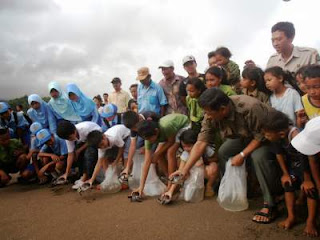 Sebagai bagian dari Taman Nasional Meru Betiri Pantai Rejegwesi juga mempunyai kesamaan dengan Pantai Sukamade, yakni menjadi salah satu habitat penyu dan tempat penangkaran penyu. Di pantai ini kita akan Bisa melihat proses penyu langka yang sedang bertelur, di antaranya penyu hijau, penyu belimbing, penyu slengkrah, serta penyu sisik. Dan kita Bisa menyaksikan bayi penyu yang sebelumnya sudah ditangkarkan dipantai Sukamade ataupun Ketapang, Banyuwangi yang akan dilepaskan ke arah pantai ini supaya Bisa tumbuh dan berkembang. Sebagai bagian dari Taman Nasional Meru Betiri Pantai Rejegwesi juga mempunyai kesamaan dengan Pantai Sukamade, yakni menjadi salah satu habitat penyu dan tempat penangkaran penyu. Di pantai ini kita akan Bisa melihat proses penyu langka yang sedang bertelur, di antaranya penyu hijau, penyu belimbing, penyu slengkrah, serta penyu sisik. Dan kita Bisa menyaksikan bayi penyu yang sebelumnya sudah ditangkarkan dipantai Sukamade ataupun Ketapang, Banyuwangi yang akan dilepaskan ke arah pantai ini supaya Bisa tumbuh dan berkembang.