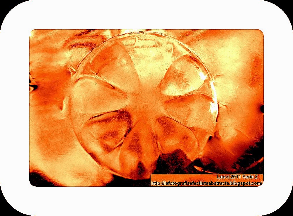 Foto Abstracta 3147 Media naranja contemplándose a si mísma - Half orange contemplating itself Foto Abstracta 3147 Media naranja contemplándose a si mísma - Half orange contemplating itself