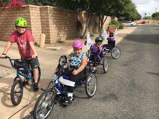 shopkins bike helmet