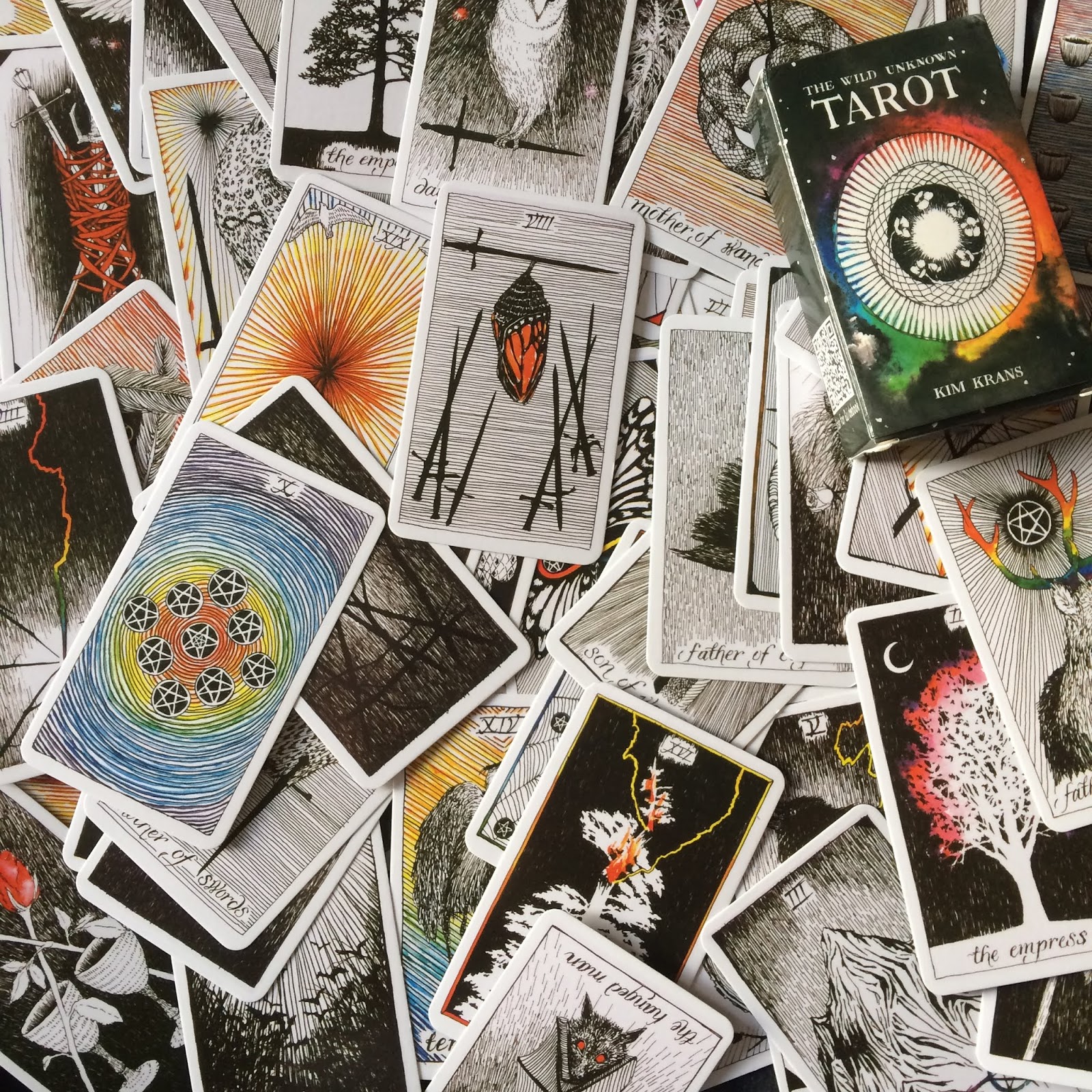 The Wild Unknown tarot cards spread out, filling the whole of the square photo, with the box in the top right corner