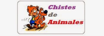 chistes cortos de animales, chistes graciosos de la selva, chistes buenísimos de perros y gatos