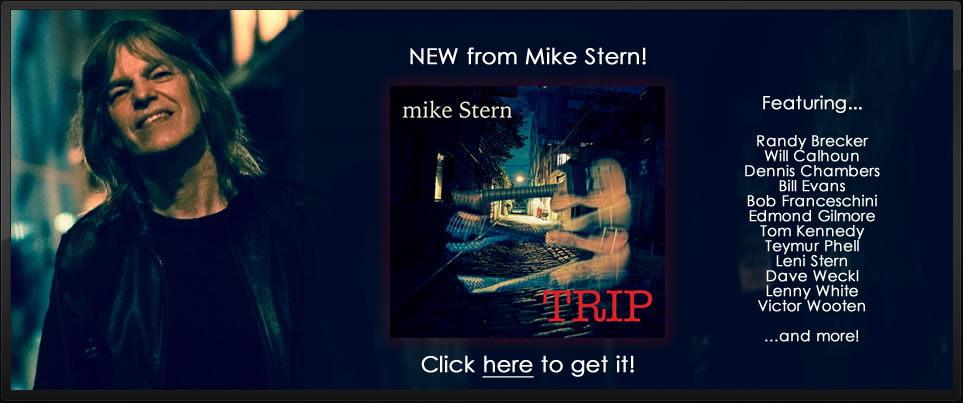 mike stern trip review