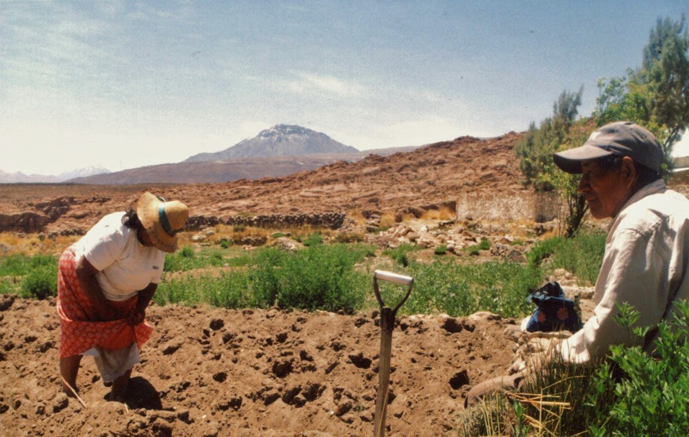 Pueblos Originarios De Chile Agricultura