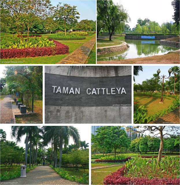taman catteya foto taman cattleya jakarta