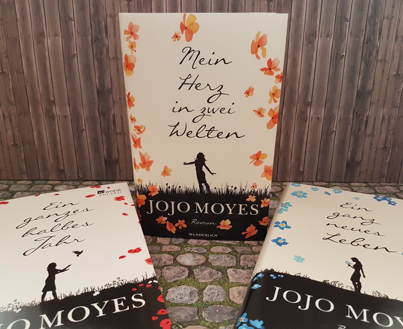 Buchsichten Rezension Hanna Mein Herz In Zwei Welten Jojo Moyes
