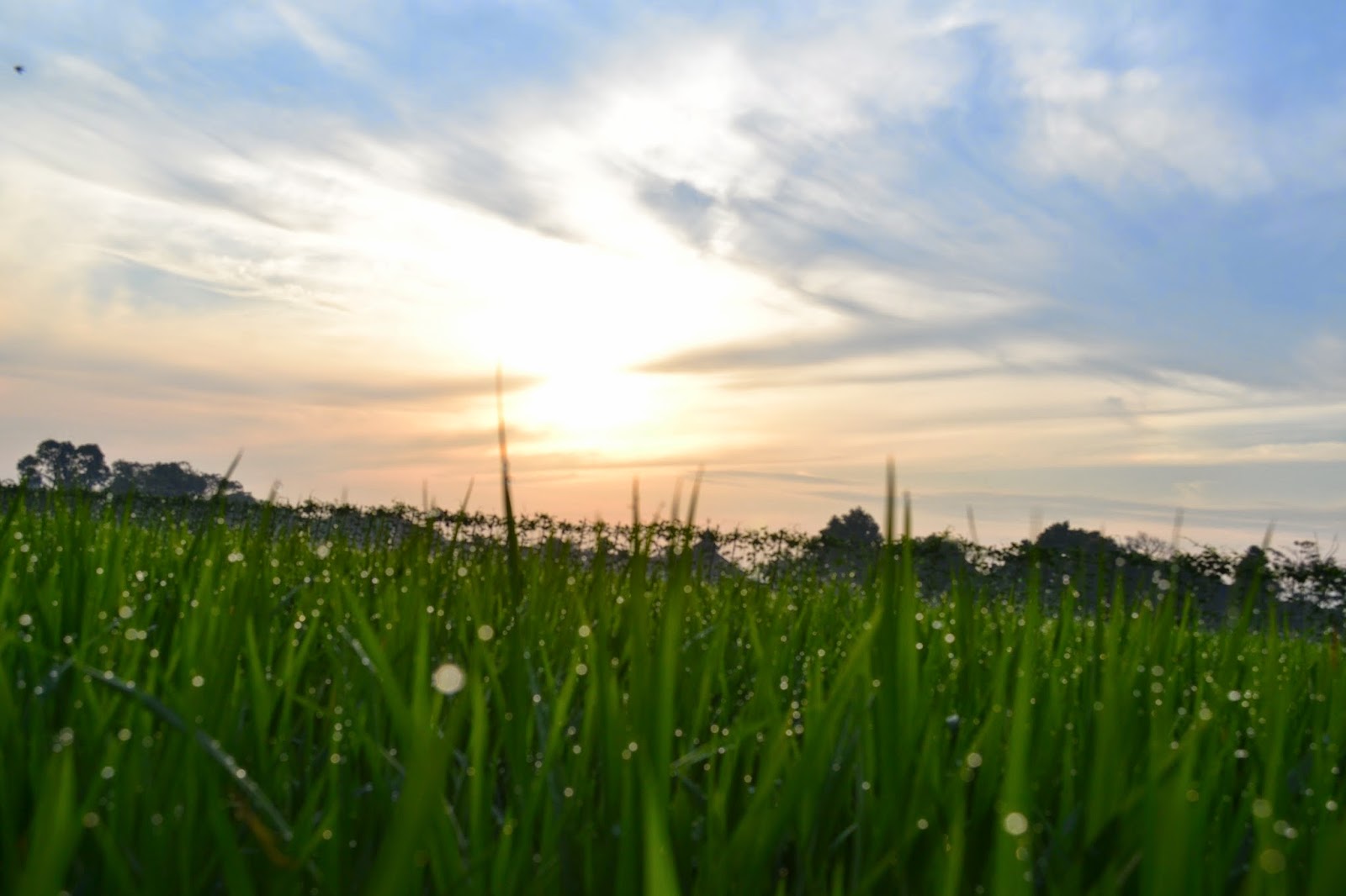 Paling Bagus 12+ Foto Pemandangan Pagi Keren - Arka Gambar
