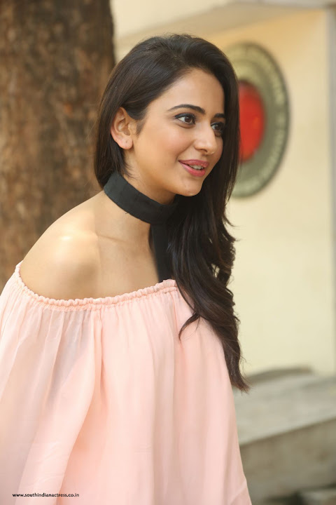 Rakul Preet Singh at Jaya Janaki Nayaka Success Meet