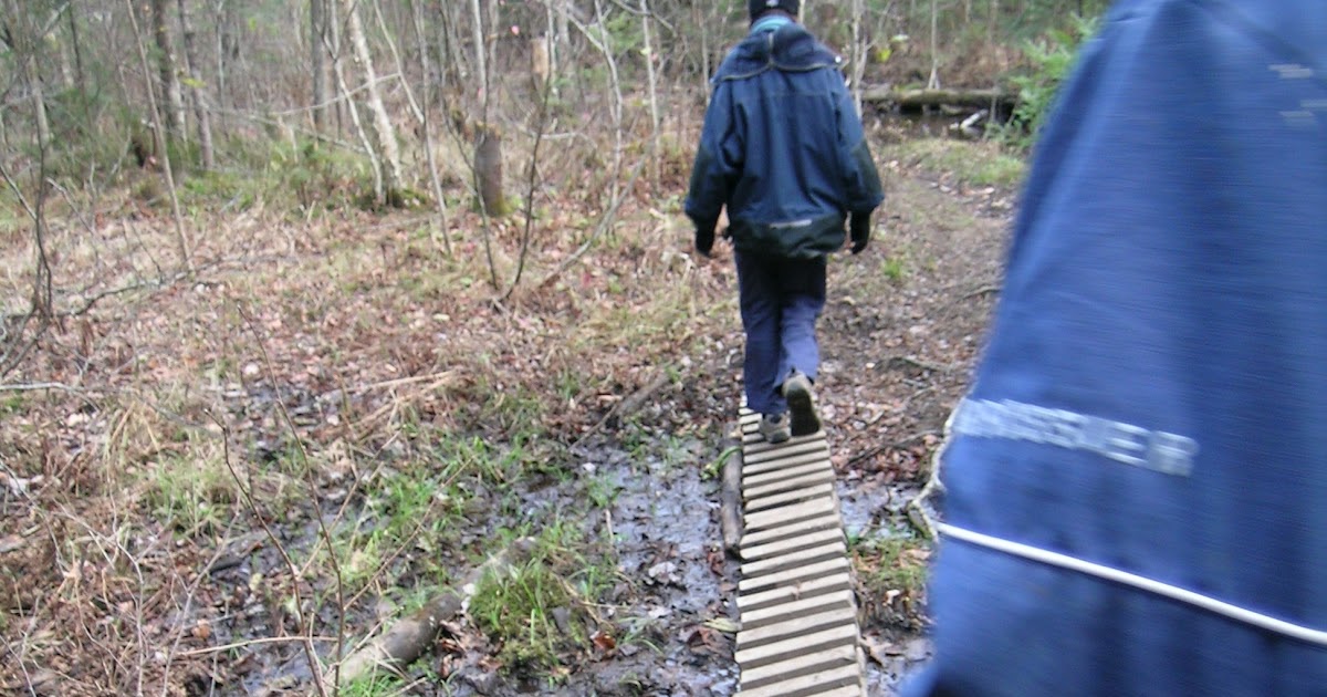 Jetter in english image