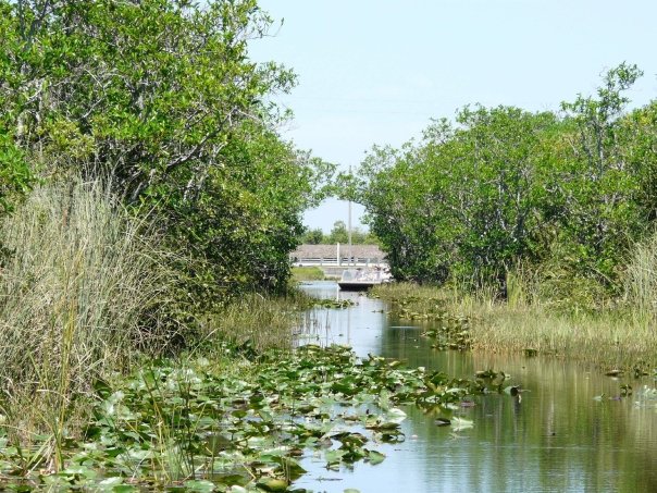 visite des Everglades