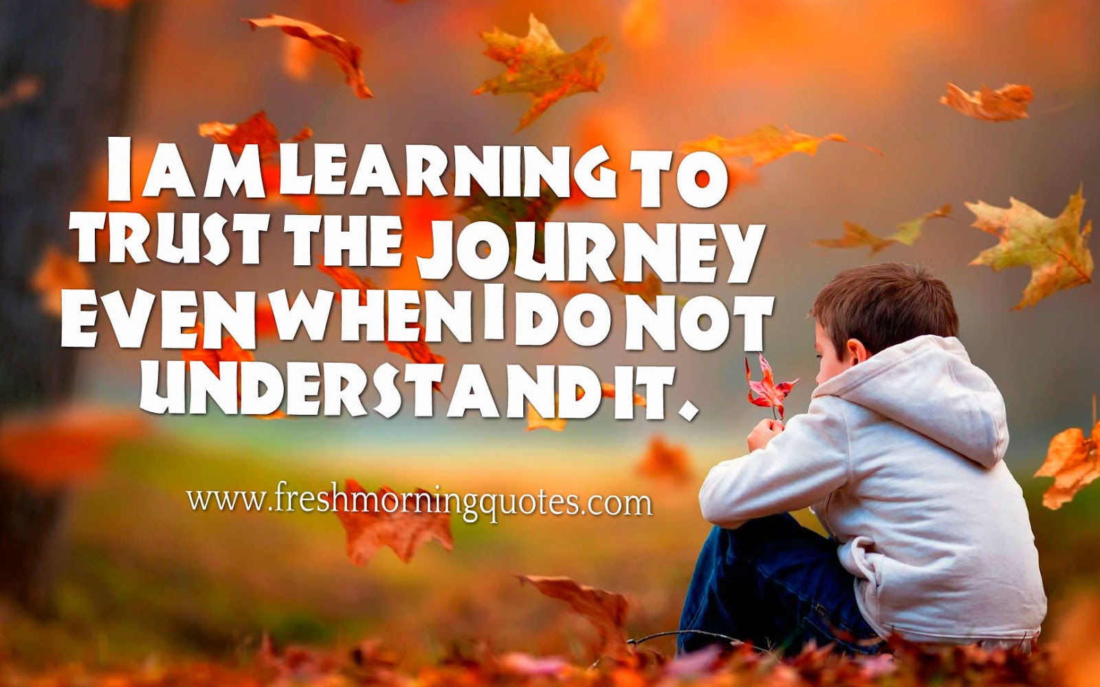 learning to trust the journey
