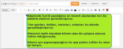 Blogger edit ayarları kullanımı